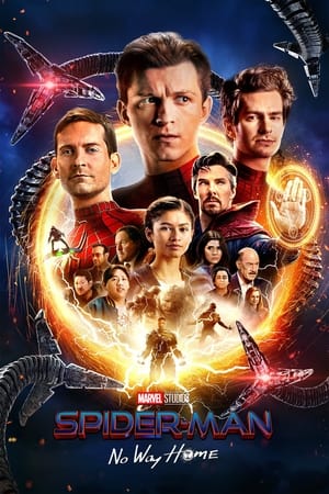 Spider-Man: No Way Home (2021) Hindi (ORG) Dual Audio BluRay | Hindi Dubbed Movie – 480p